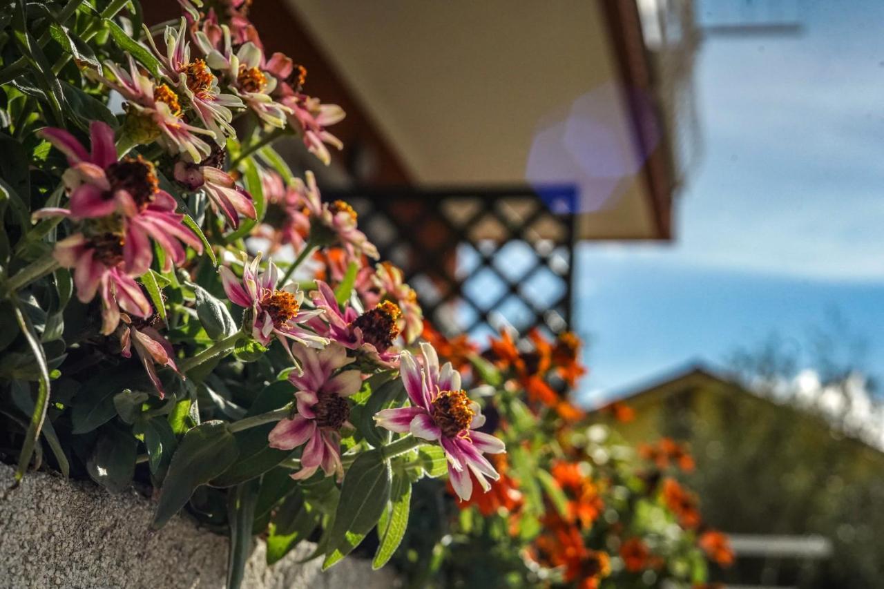 Agriturismo La Rocca San Bartolomeo Al Mare Buitenkant foto