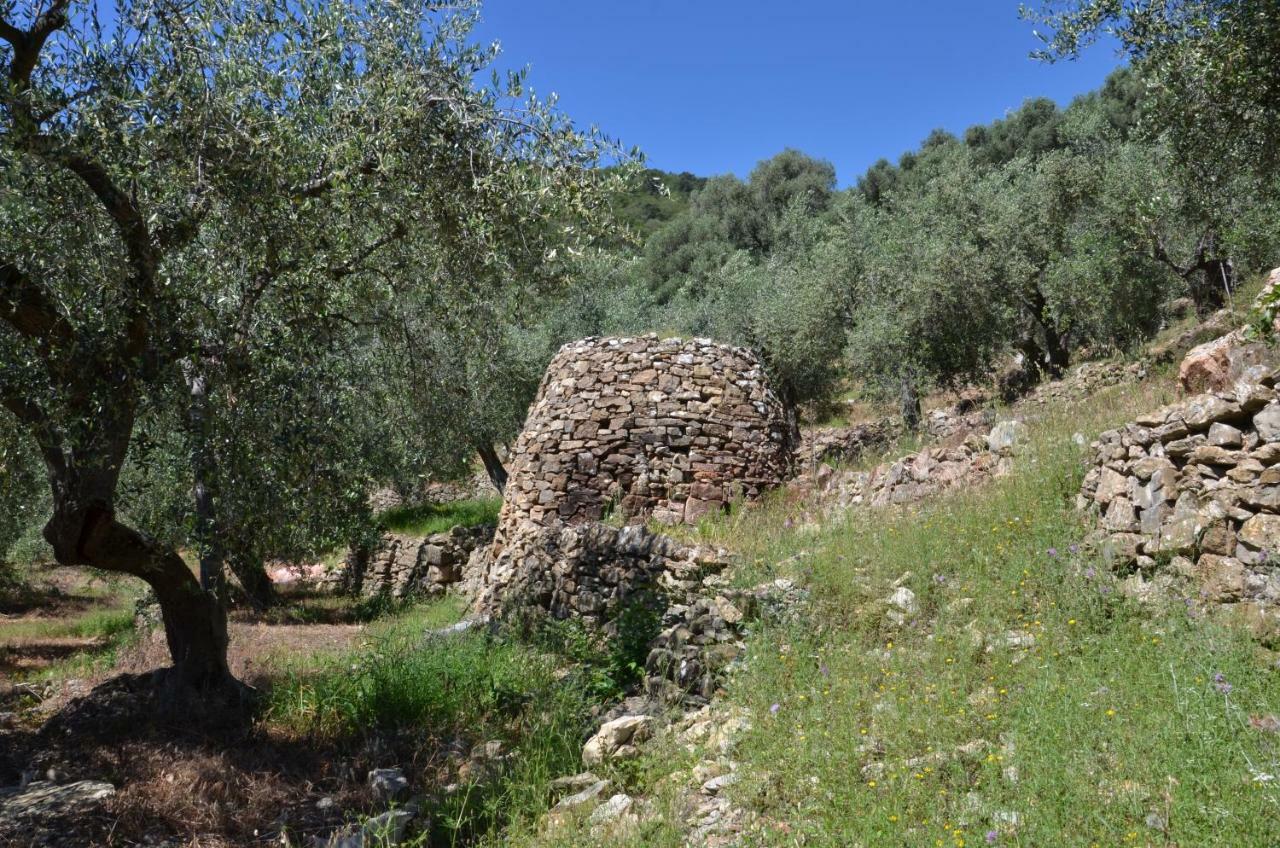 Agriturismo La Rocca San Bartolomeo Al Mare Buitenkant foto